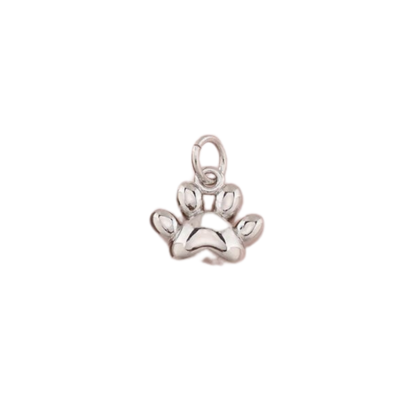 Paw Charm