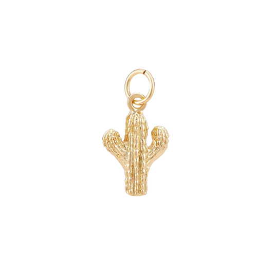 Mini Cactus