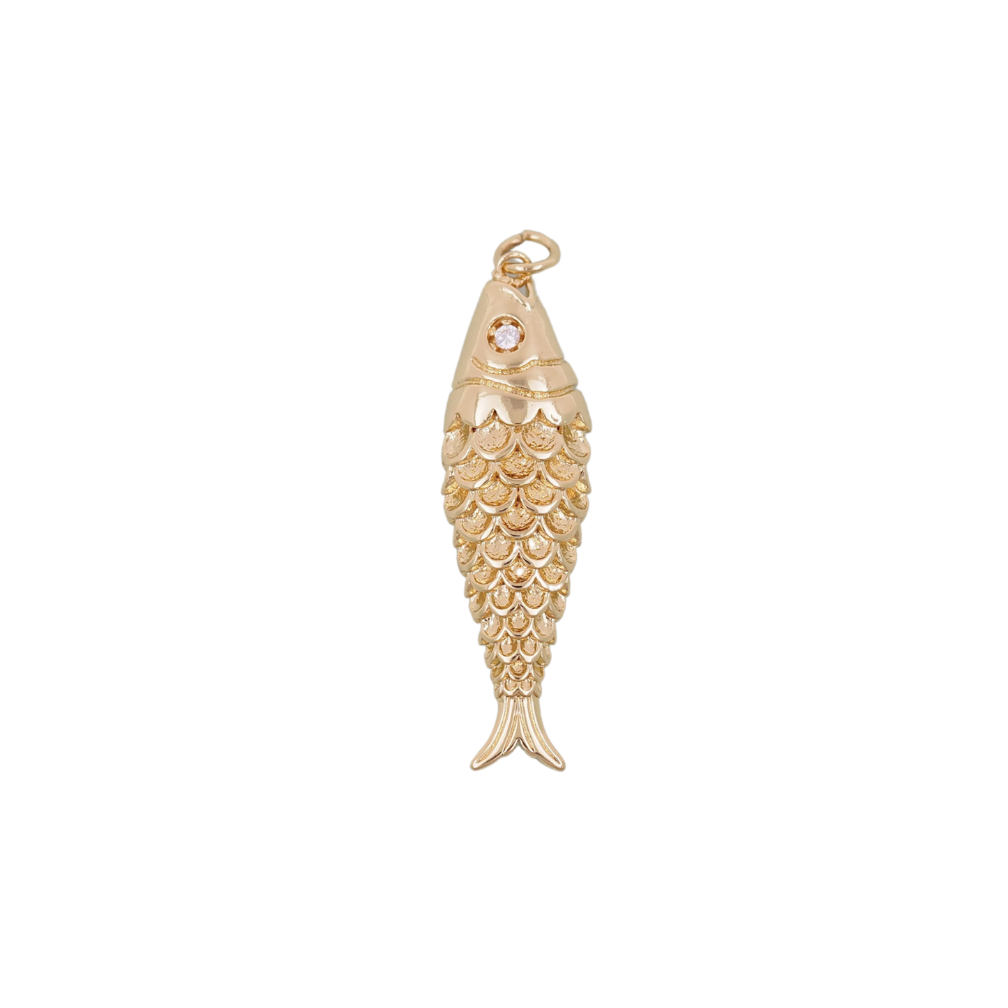 Large Fish