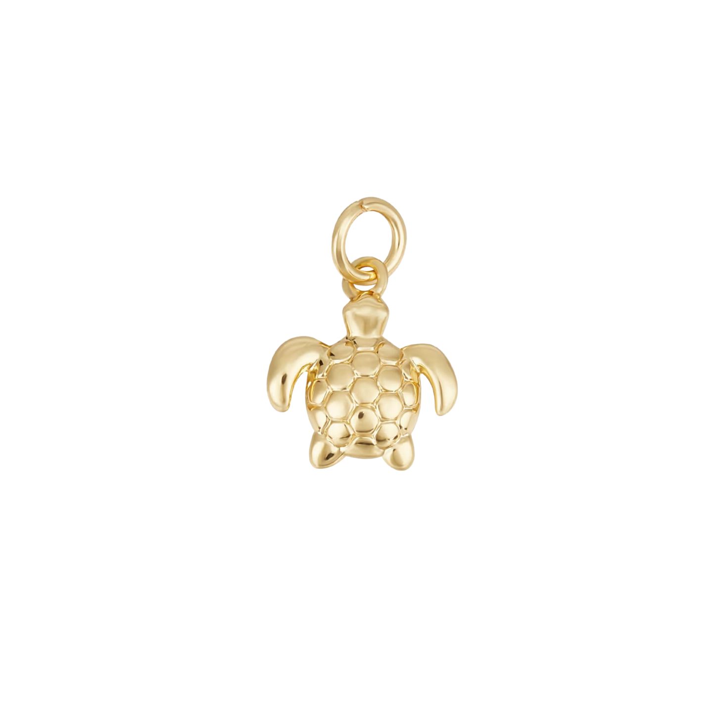 Tiny Sea Turtle