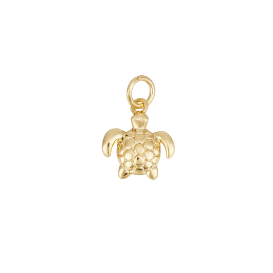Tiny Sea Turtle