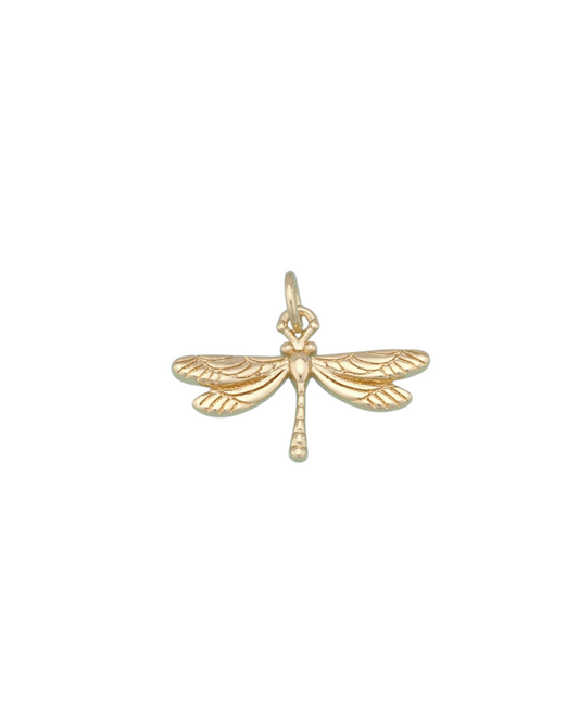 Large Dragonfly