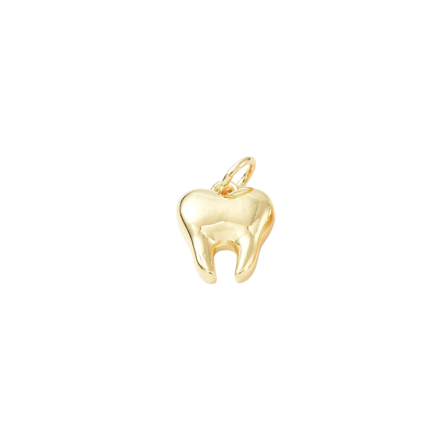 Dental Hygienist Tooth