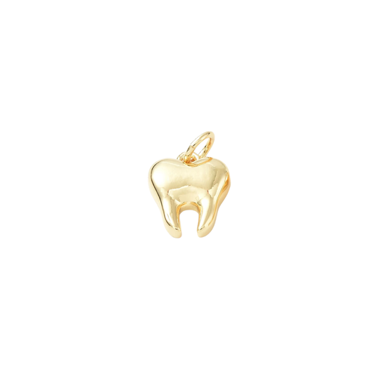Dental Hygienist Tooth