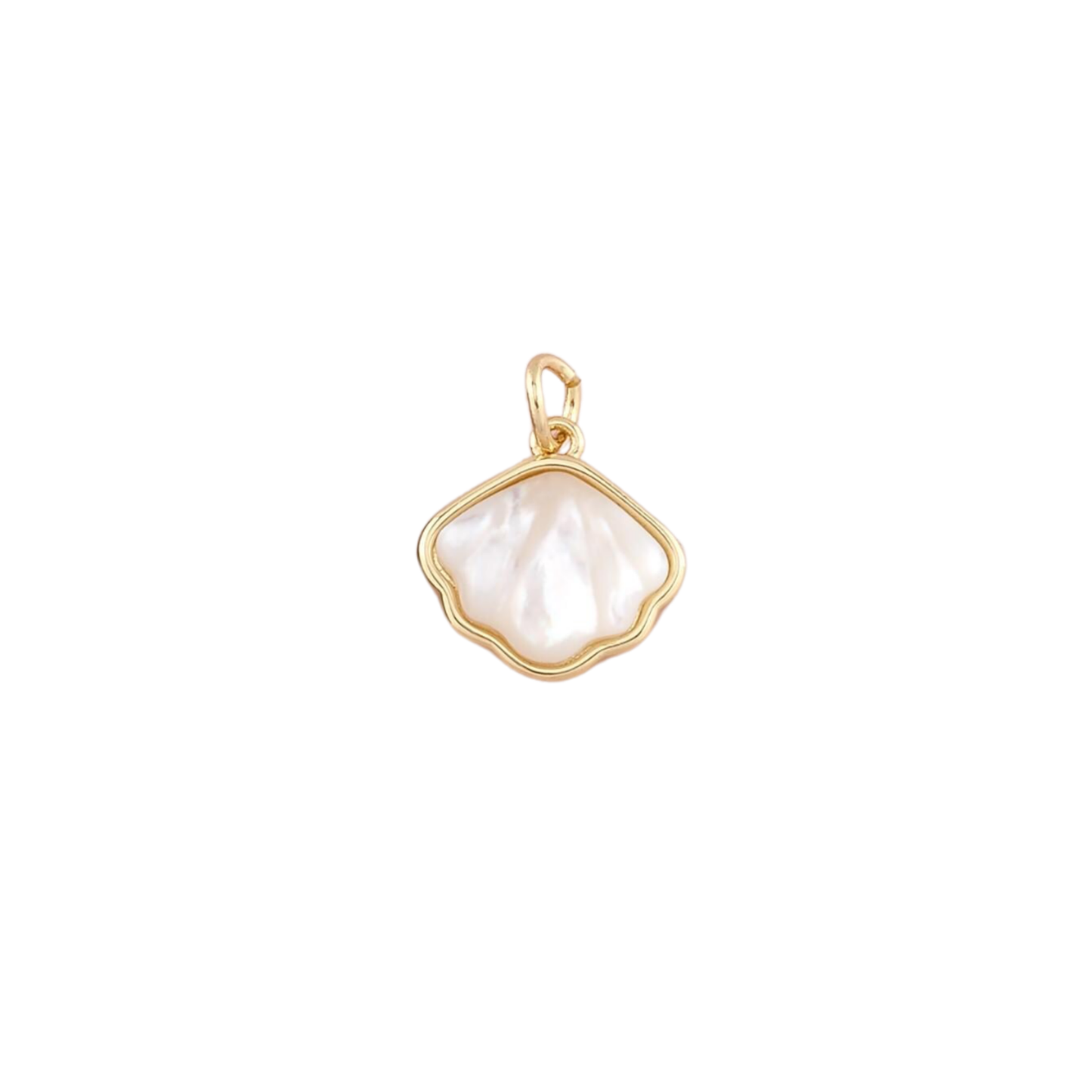 White Sea Shell